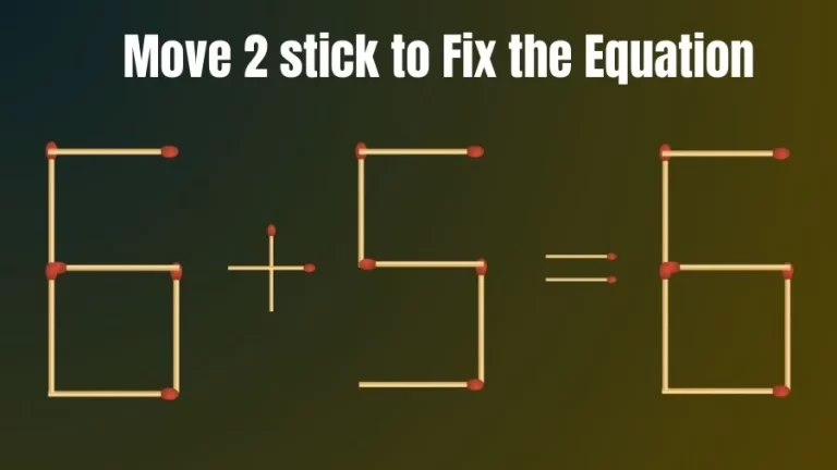 Brain Teaser for IQ Test: 6+5=6 Fix the Equation by Moving 2 Sticks