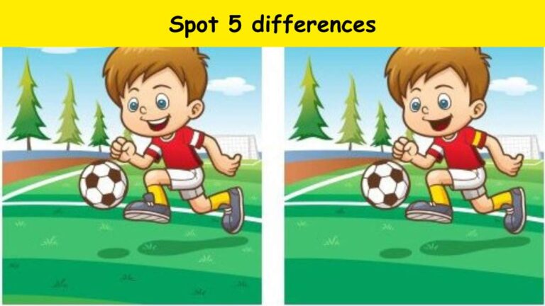 Spot 5 differences in 25 seconds
