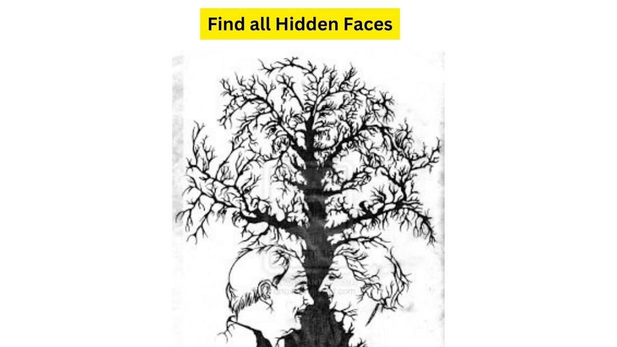 How many faces do you see here?