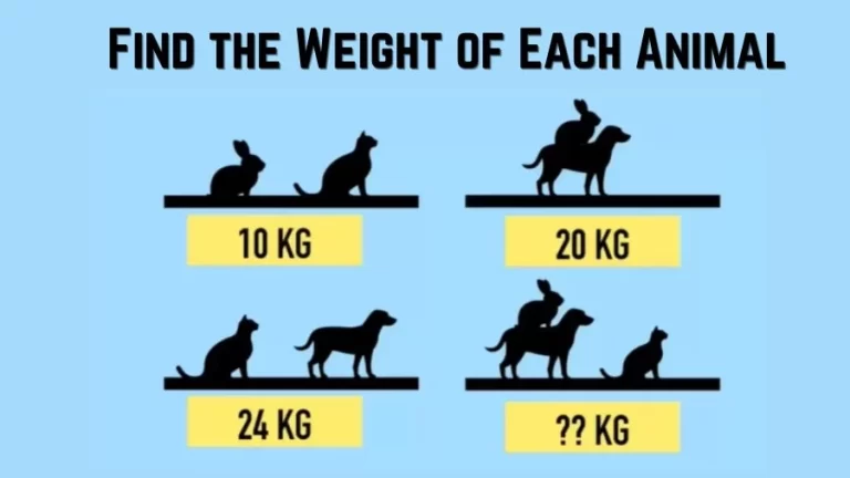 Brain Teaser Math Test: Can You Guess The Weight Of Each Animal in 18 Secs?