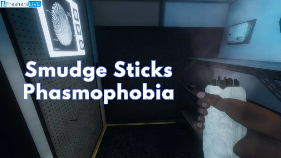 Smudge Stick Phasmophobia, How to Use Smudge Stick Phasmophobia? High