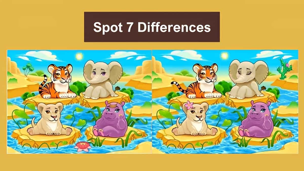 Spot 7 differences between the two animal party pictures in 17 seconds