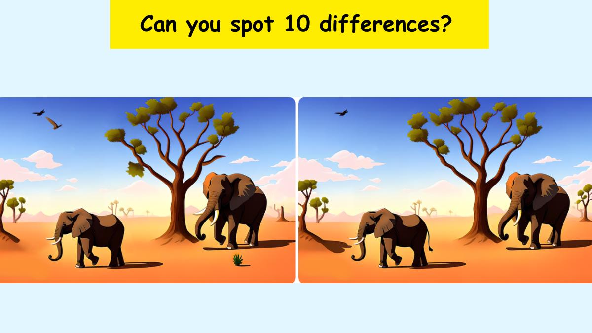 Spot 10 differences