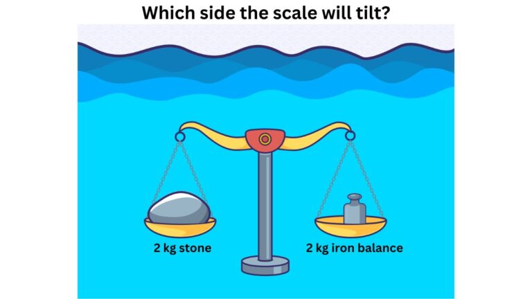 Which Side The Scale Will Tilt In Water? Test Your IQ Level