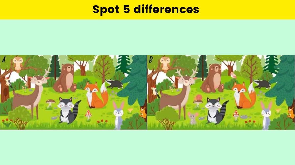 Spot 5 differences in 17 seconds