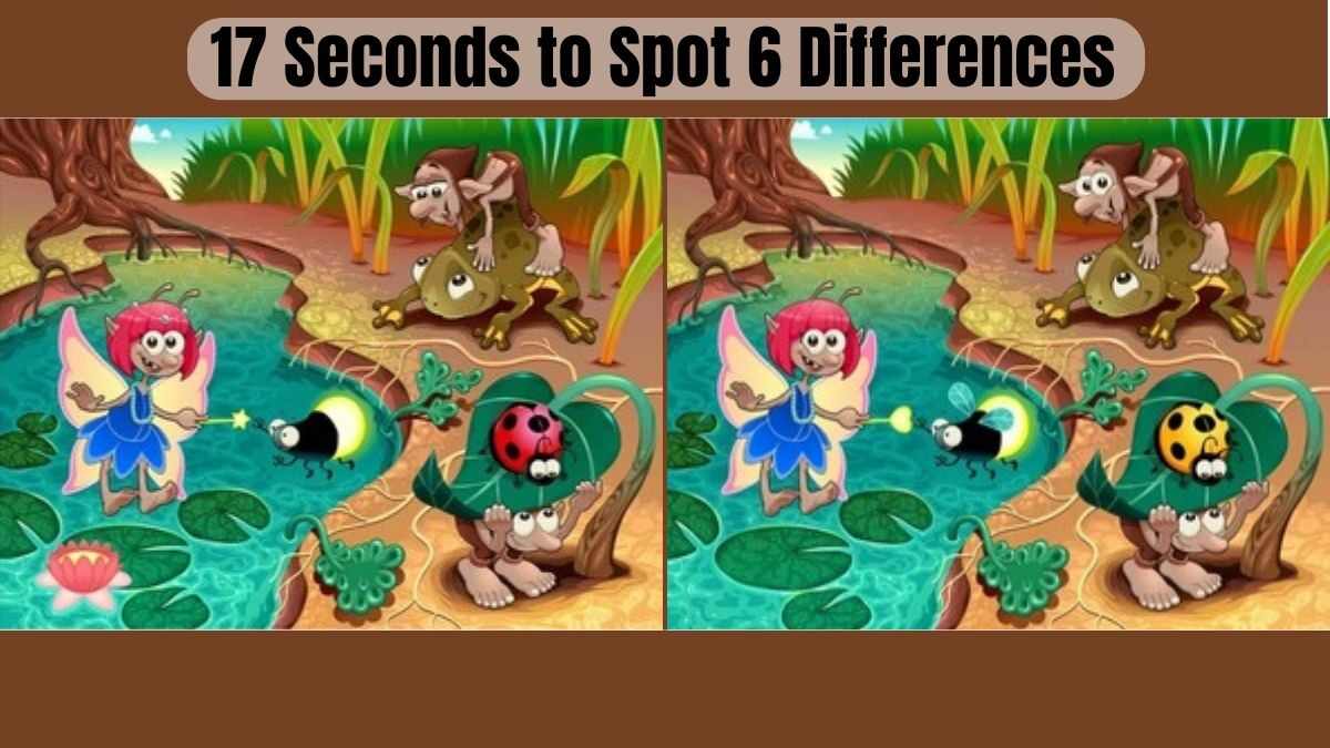 17 Seconds to Spot 6 Sneaky Differences, Can You Keep Up?