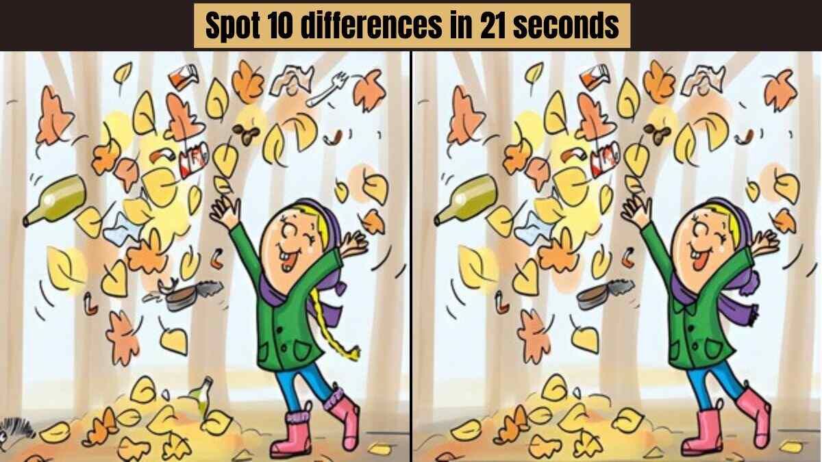 Spot 10 differences in 21 seconds