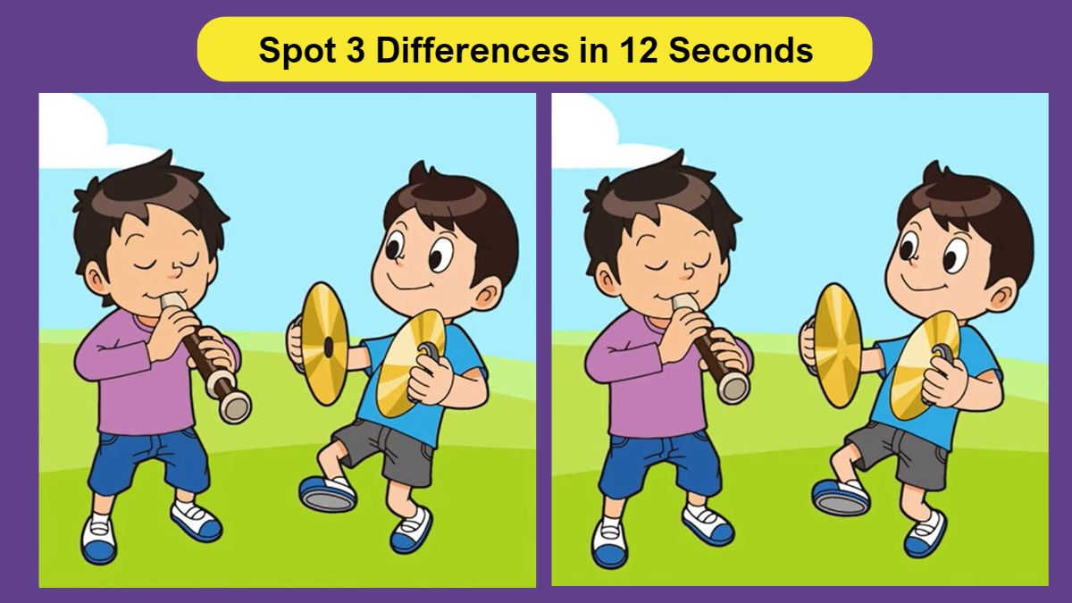 Spot 3 Differences in 12 Seconds