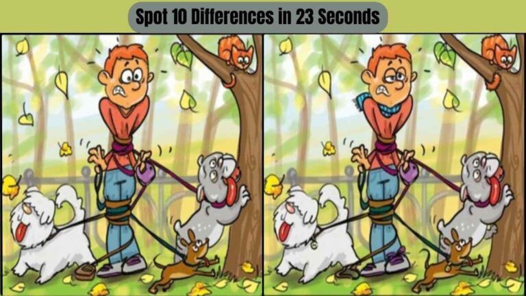 Spot 10 Differences in 23 Seconds
