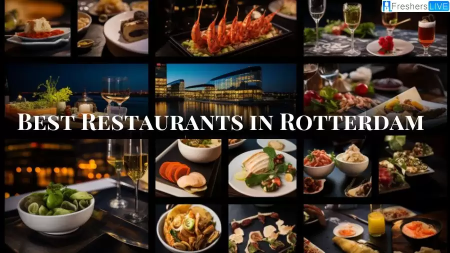 Best Restaurants in Rotterdam - A Fusion of Flavours