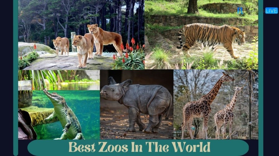 Best Zoos in the World 2023 that are a Must Visit - Top 10