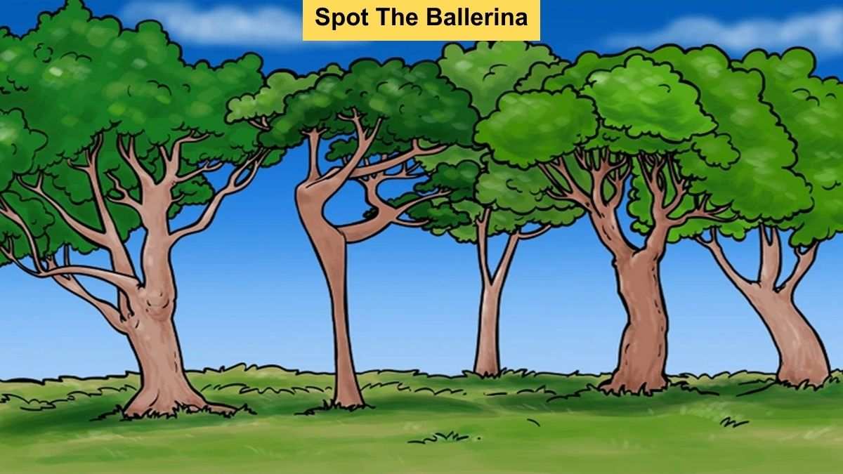 Ballerina Optical Illusion To Test Your Vision