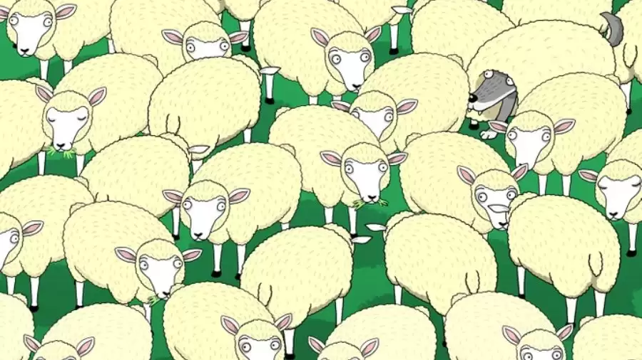 Can you Find the Wolf among the sheep in 15 Seconds? Explanation and Solution to the Hidden Wolf Optical Illusion