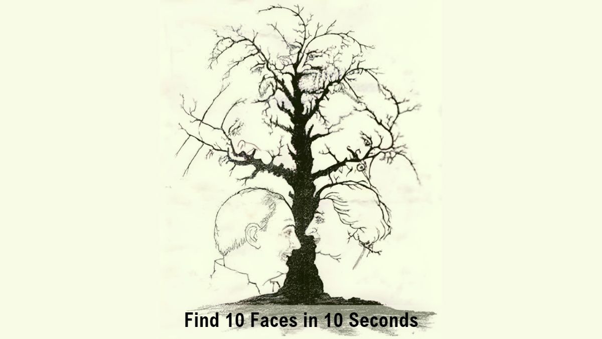 Find 10 Faces in 10 Seconds