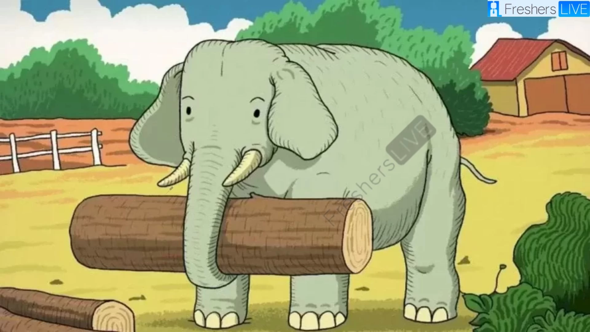 Can you help the elephant find his friend in 10 seconds?
