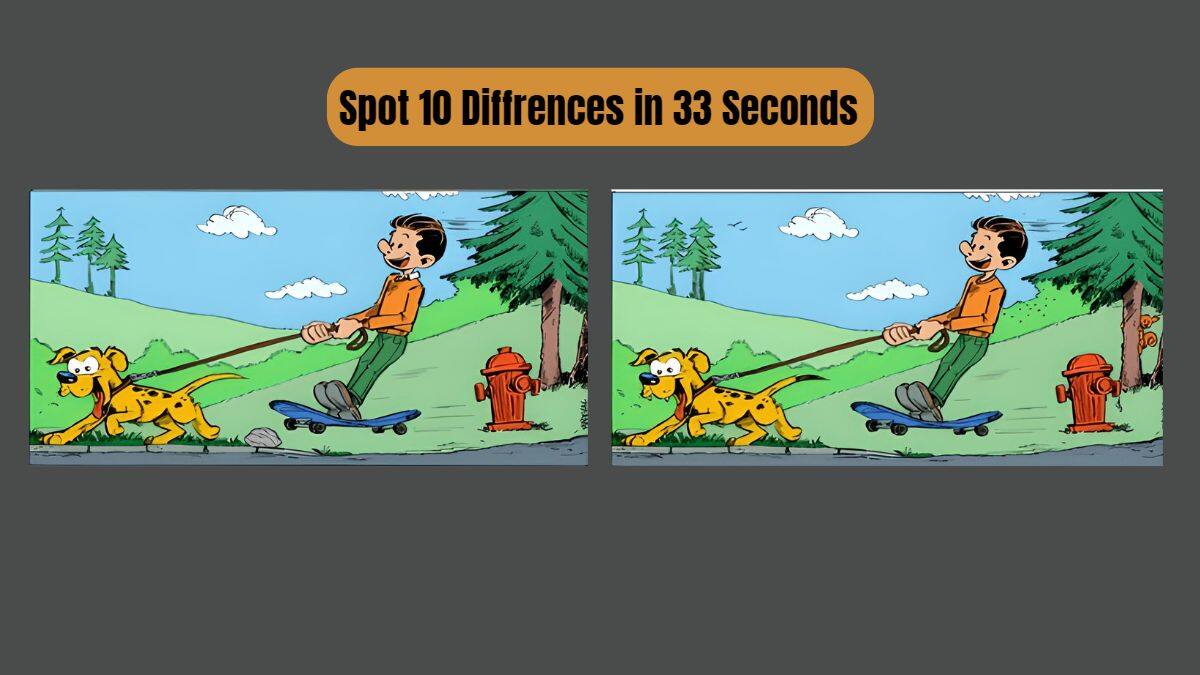 Check your Concentration Power By Spotting 10 Differences in 33 Seconds