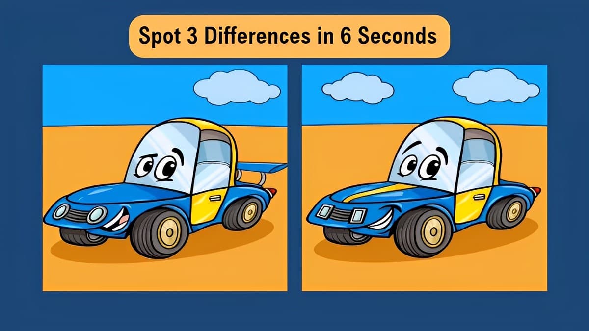 Spot 3 Differences in 6 Seconds
