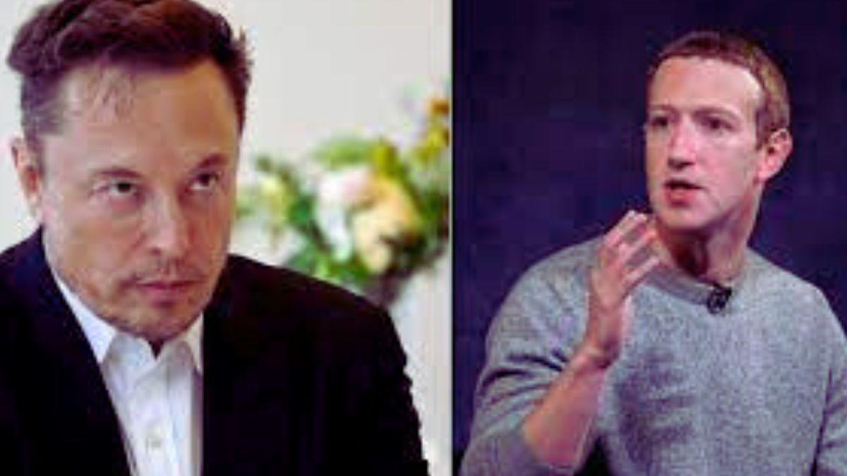 Elon Musk vs Mark Zuckerberg Cage Fight details