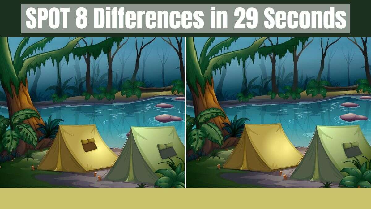 Spot 8 Differences in a Nail-biting 29 Seconds