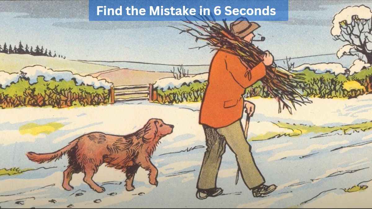 Find the mistake in 6 Seconds