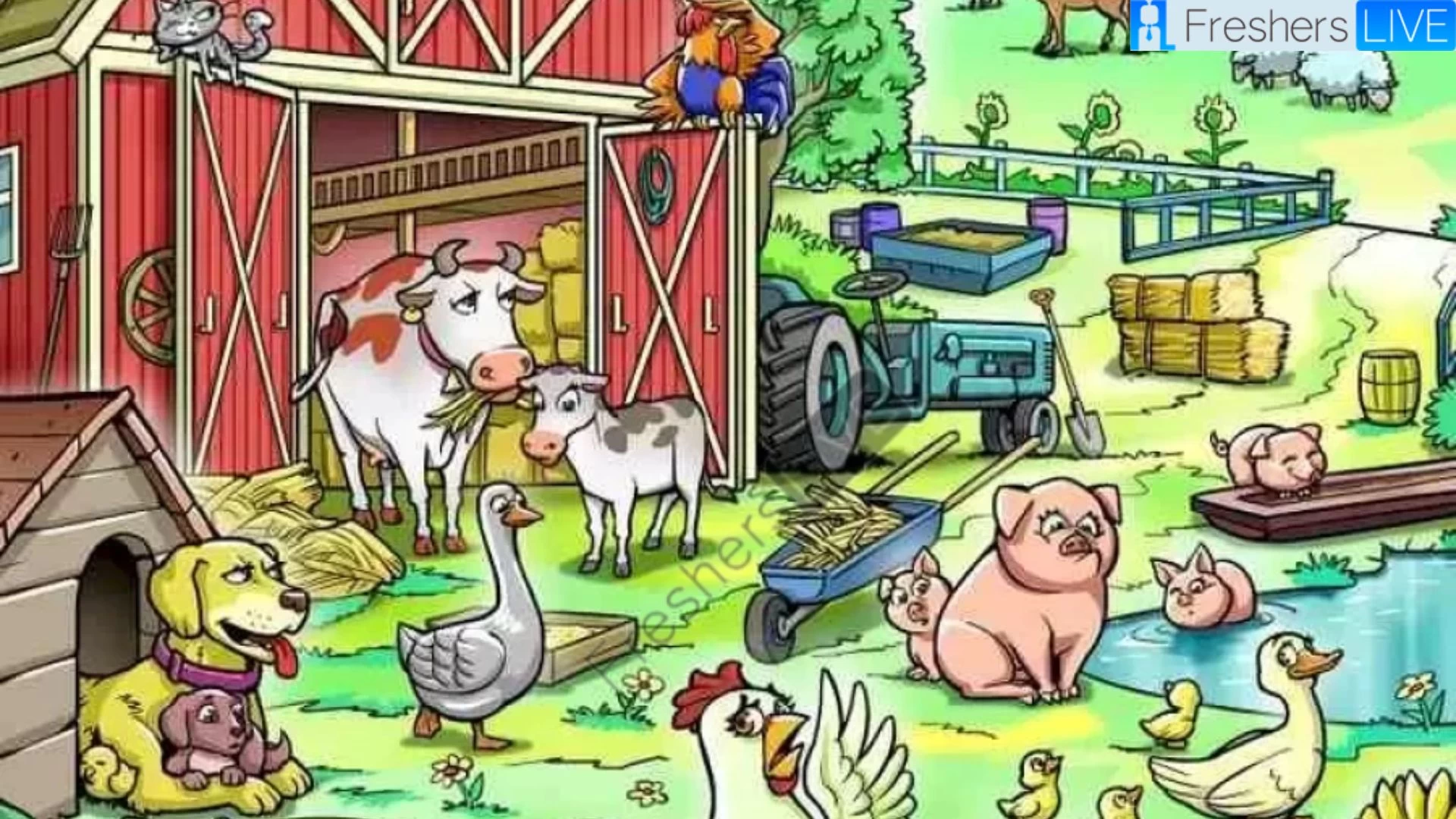 Help the Hen Find her Chick in the Farm in Just 10 Seconds!