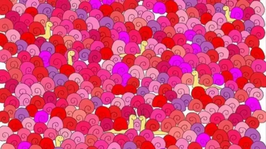 Hidden Heart Optical Illusion: Can You Spot the Hidden Love Heart Among the Snails in 10 Seconds?