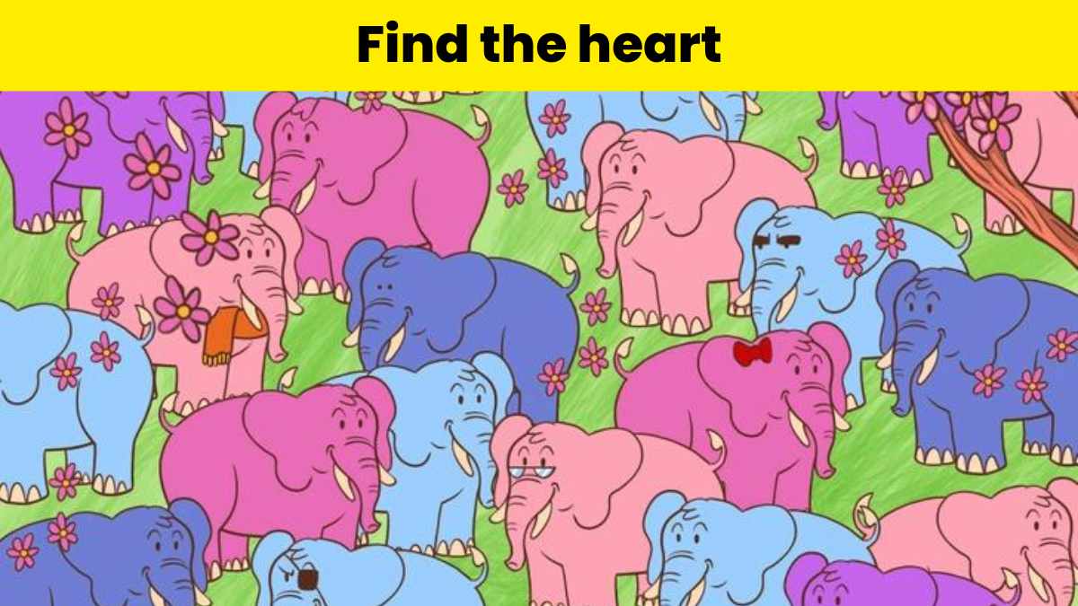 Find the heart