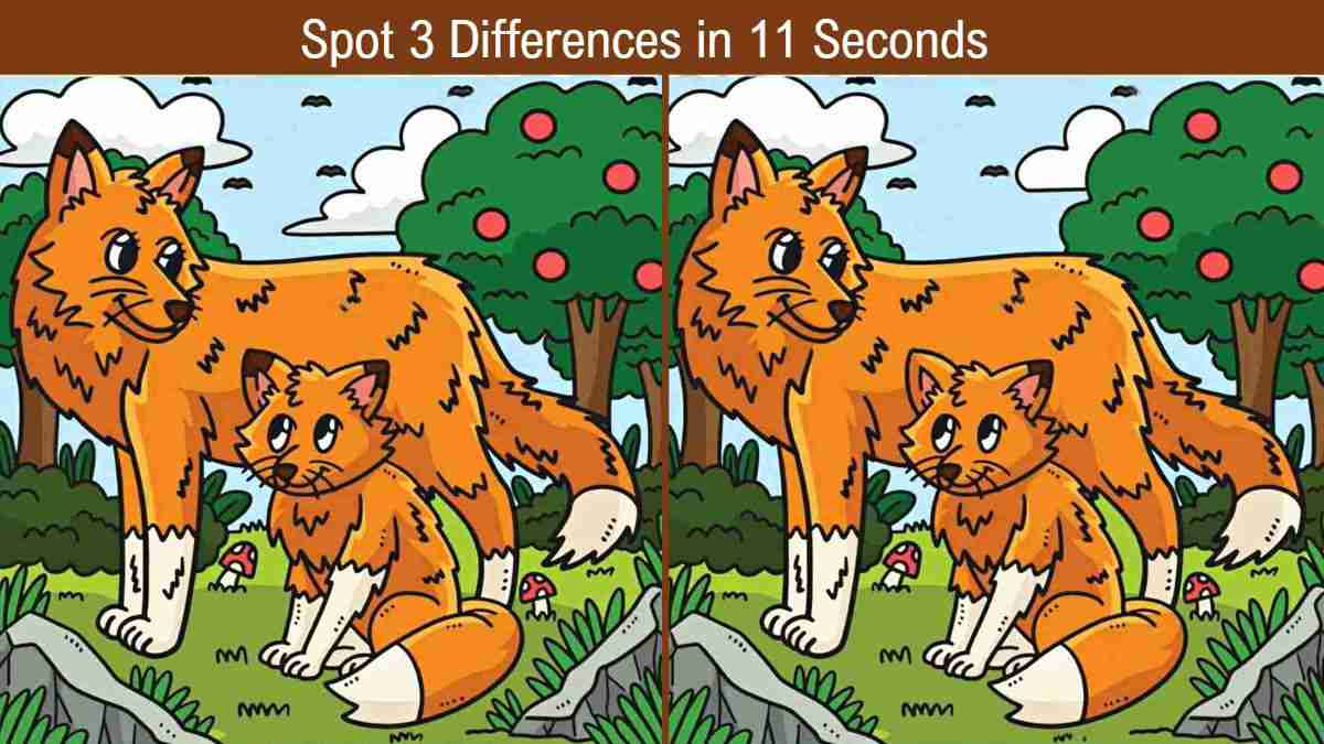 Spot 3 Differences in 11 Seconds