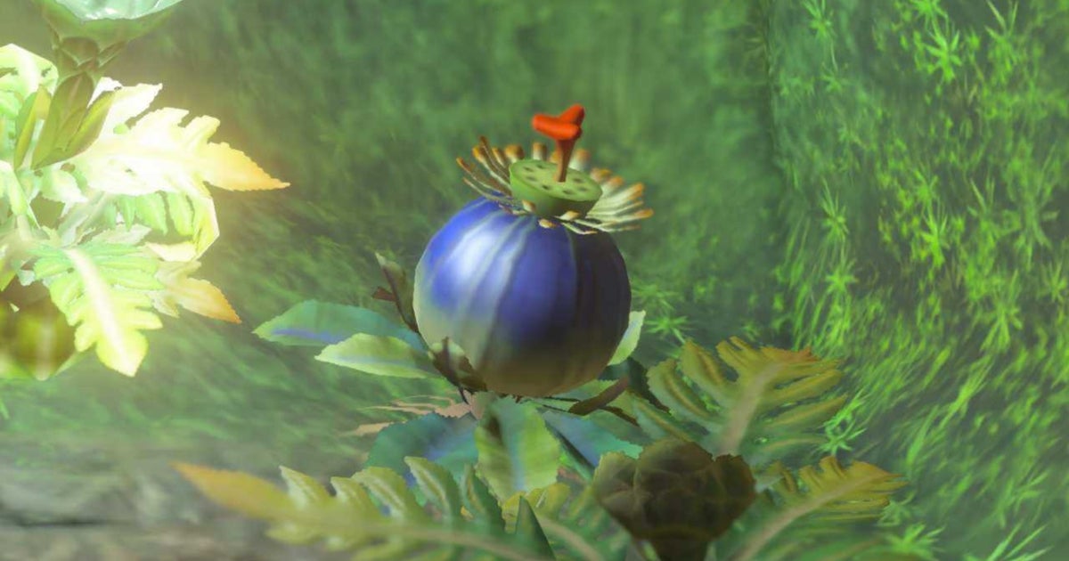 How to get Bomb Flowers in Zelda Tears of the Kingdom