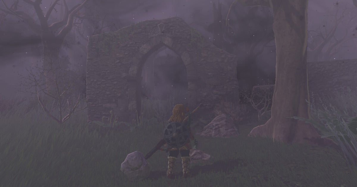 How to get through the Lost Woods in Zelda Tears of the Kingdom