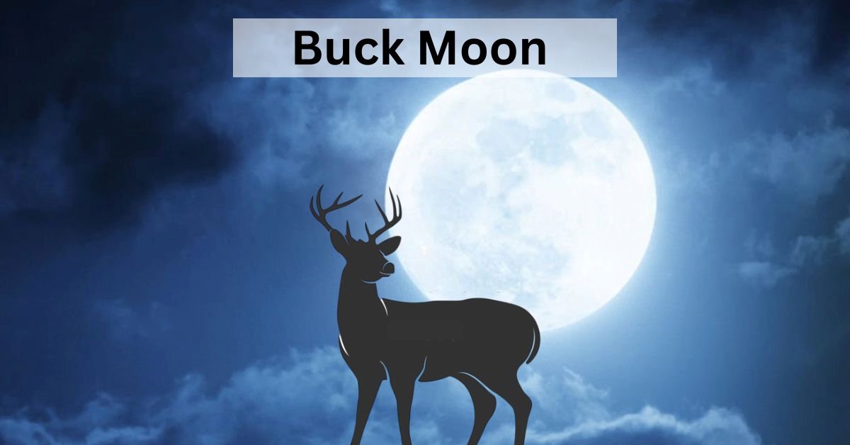What is Buck Moon 2023
