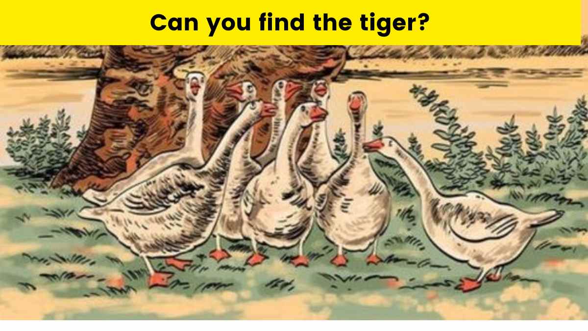 Spot the tiger in 8 seconds