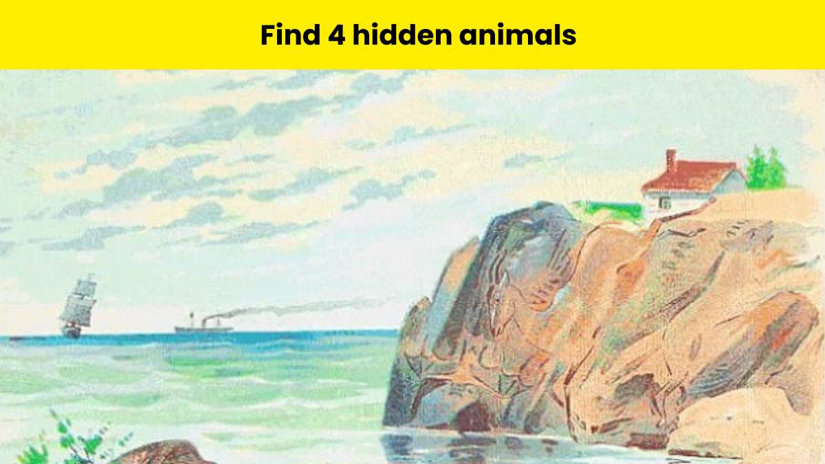 Spot all 4 hidden animals in 5 seconds