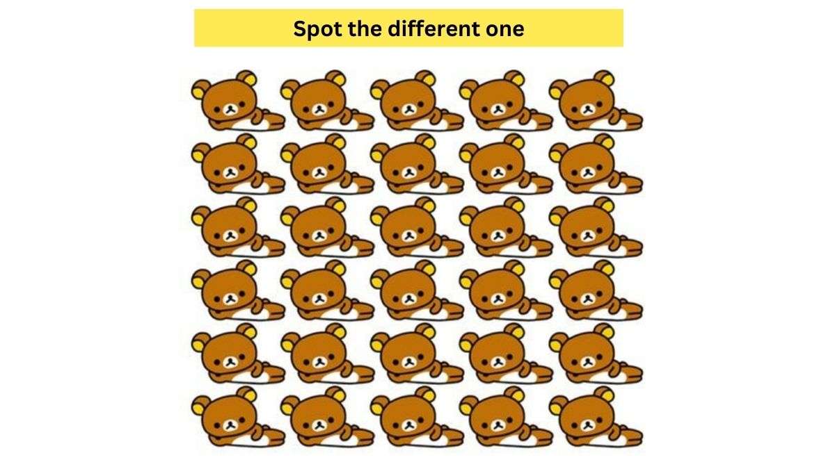 Spot The Odd One Out Puzzles To Test Your Vision