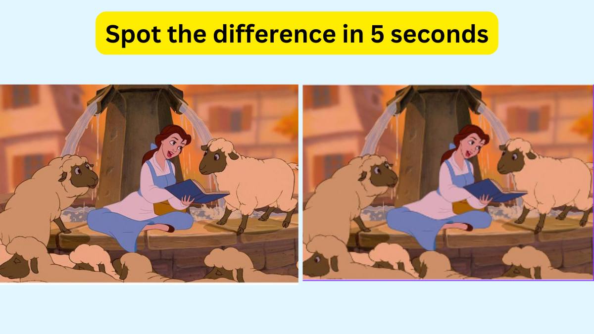 Spot the Difference- Spot one difference in 5 seconds