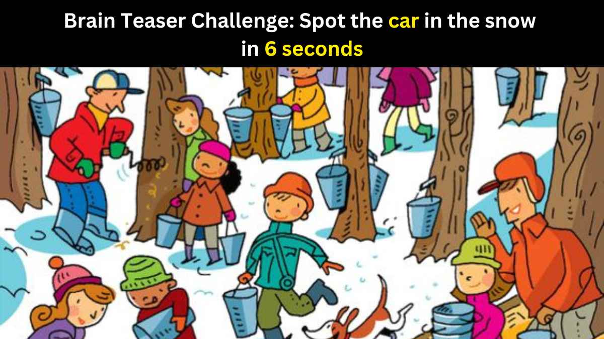 Brain Teaser IQ Test: Spot the car in the snow in 6 seconds.