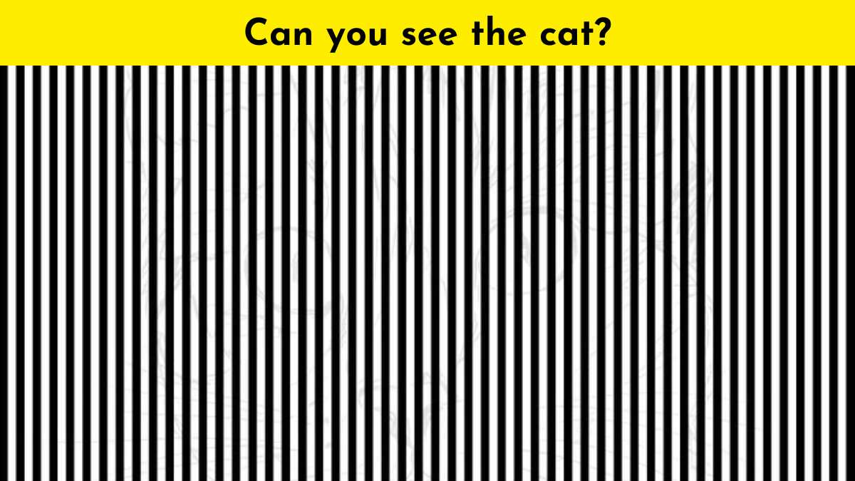 Spot the cat behind horizontal lines in 13 seconds