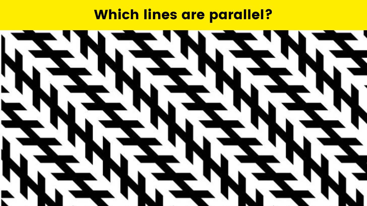 Brain Teaser: Which lines are parallel?