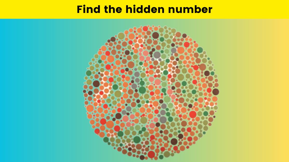 Find the number hidden among the dots