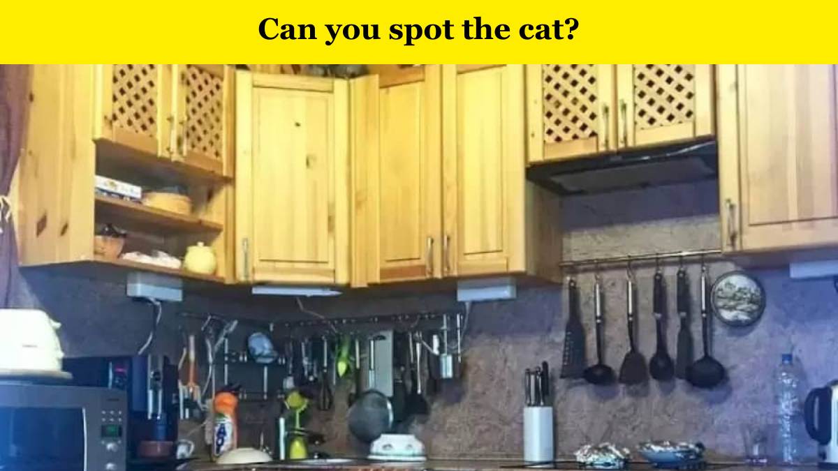 Only someone with extraordinary eyes can spot the cat hidden in the kitchen in 6 seconds.