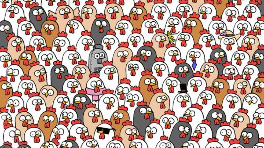 Optical Illusion Find and Seek: Can You find three Owls among the chickens in 15 Seconds?