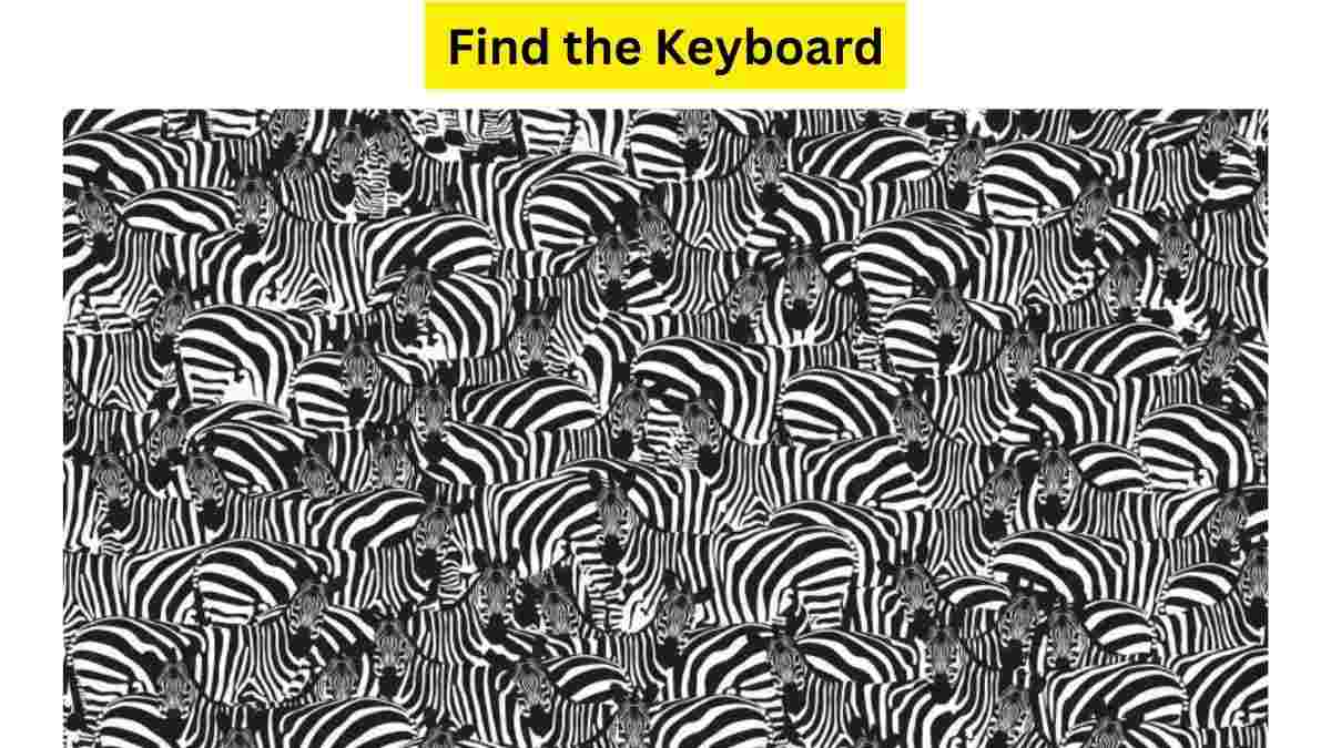 Can you find the keyboard here?