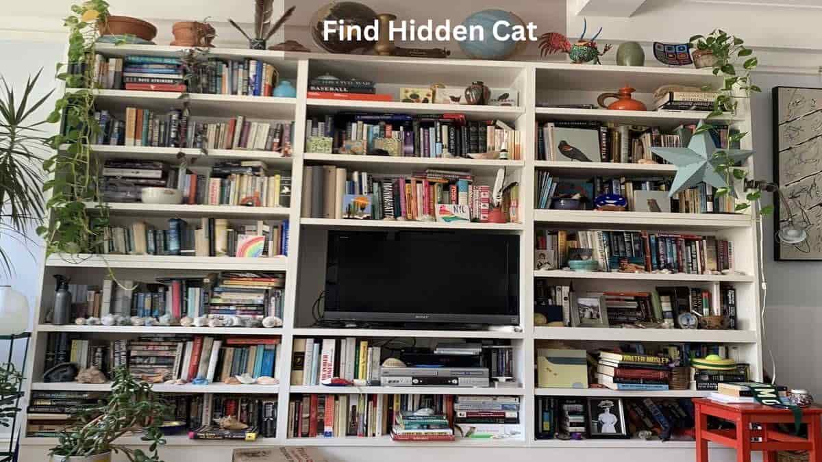 Optical Illusion IQ Test: Find hidden cat in 8 seconds