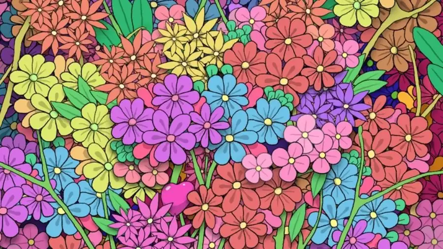 Optical Illusion: Only Eagle Eyes can Spot the Hidden heart among these flowers in less than 10 Seconds?