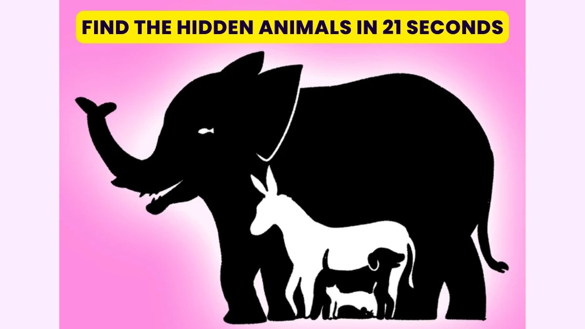 Optical Illusion Visual Challenge: You Have Hawk Eyes If You Find All The Animals In 21 Seconds 
