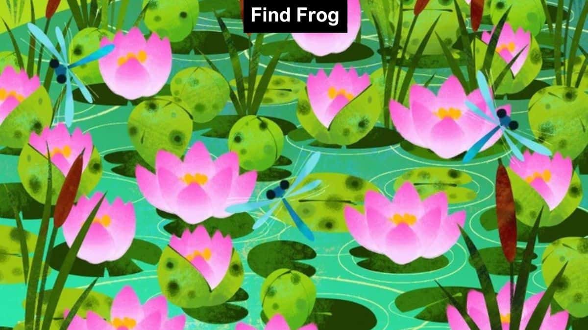 Optical Illusion to Test Your Vision: Find a Frog among Lotus in 7 Seconds
