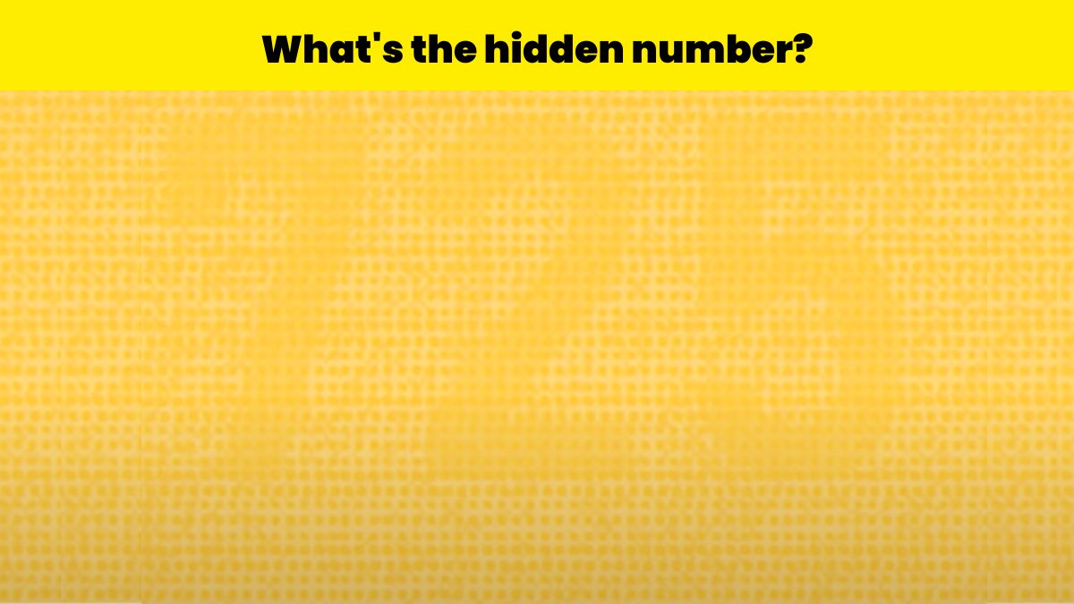 Find the hidden number