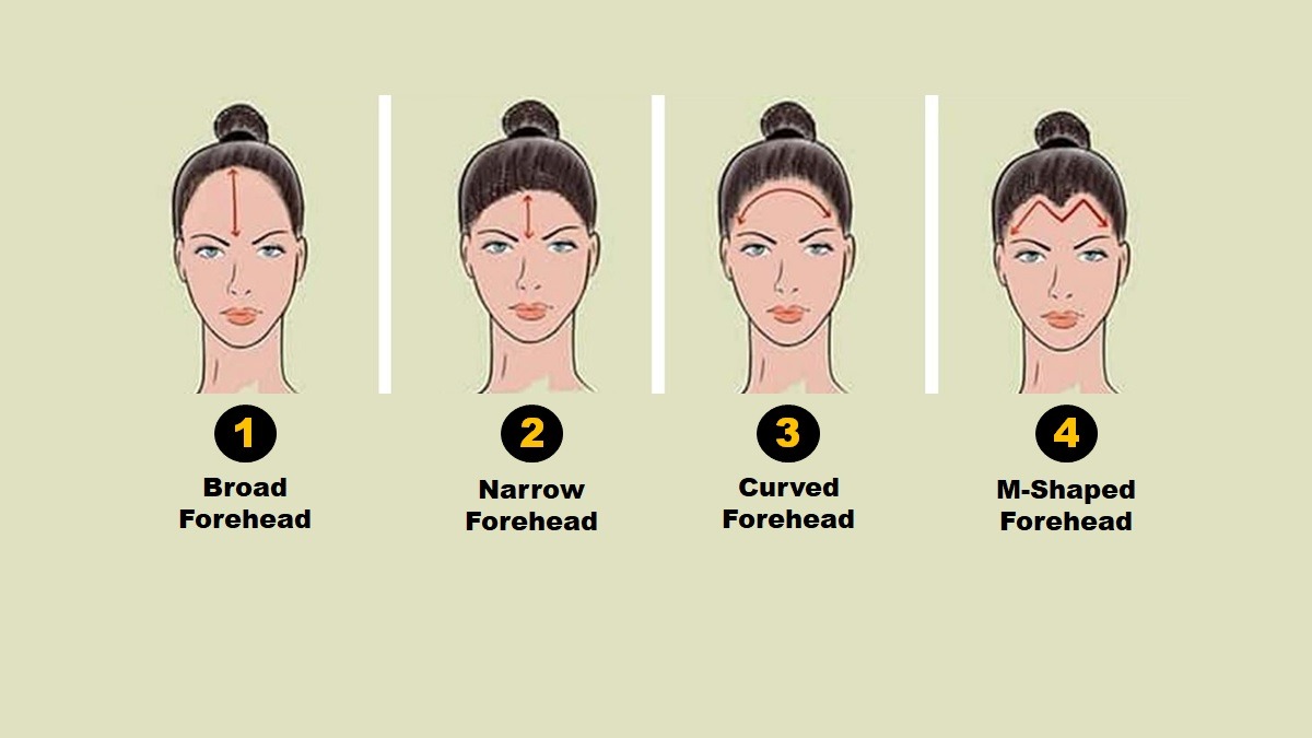 Forehead Shape Personality Test