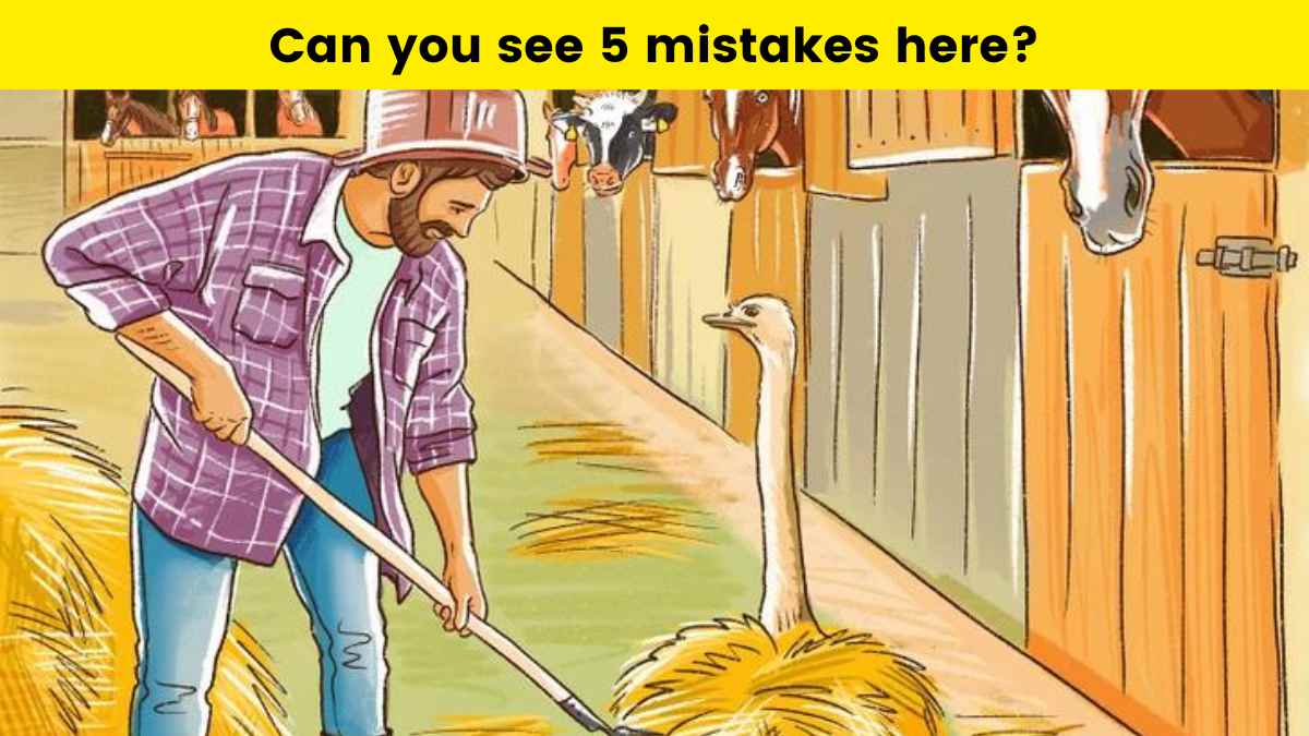 Can you find 5 mistakes in this brain puzzle?