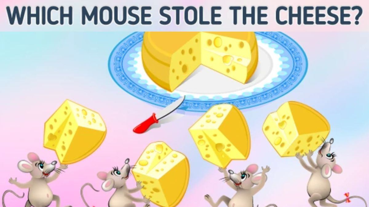 Only a Sharp Brain can spot which Mouse Stole the Cheese in picture within 11 secs!